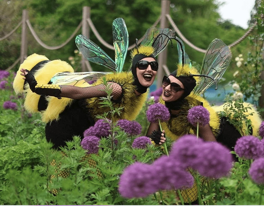 Alfstock Festival 2025